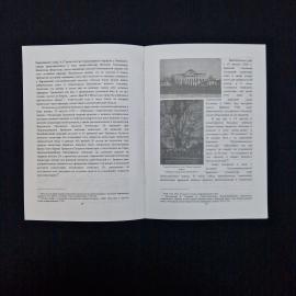 Картинка 6