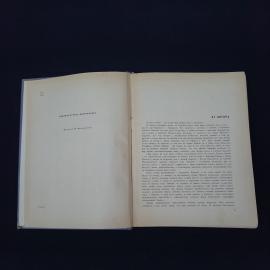 Картинка 3