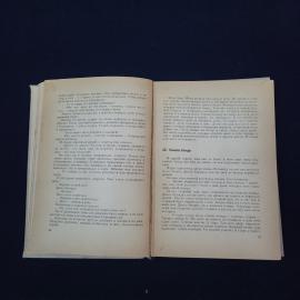 Картинка 4