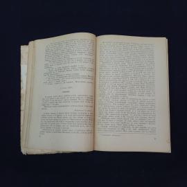 Картинка 4