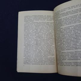 Картинка 4