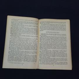 Картинка 2