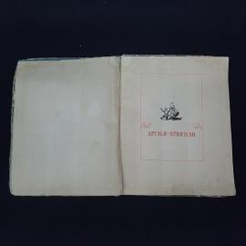 Картинка 5