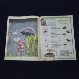 Картинка 3