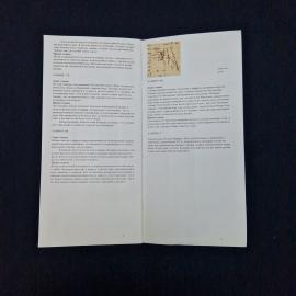 Картинка 5