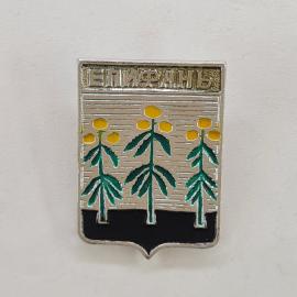 Значок СССР. Епифань, герб, тульская область, растения и плоды. Винтажный значек.