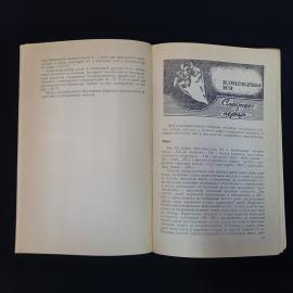 Картинка 6