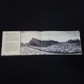 Картинка 3