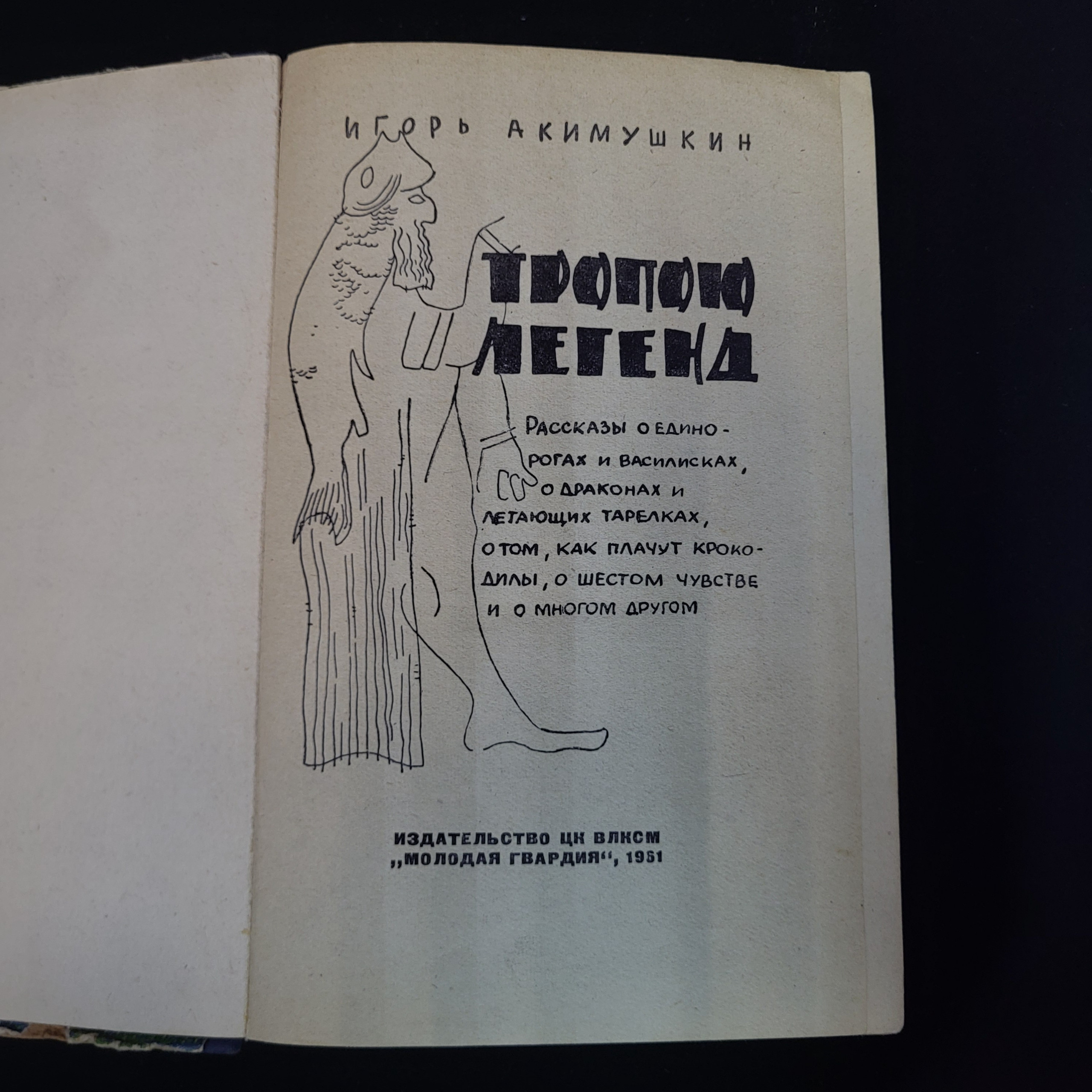 Картинка 4