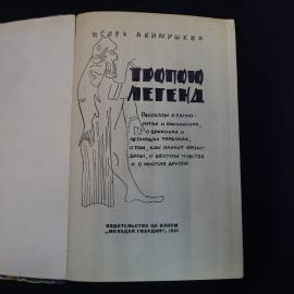 Картинка 4