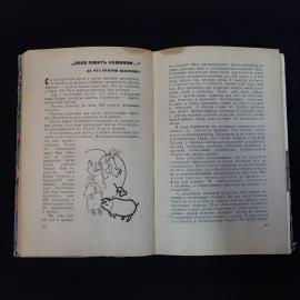 Картинка 6
