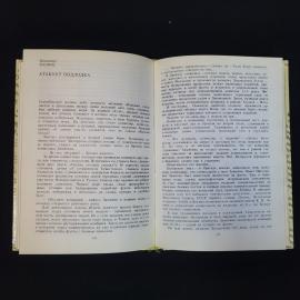 Картинка 6