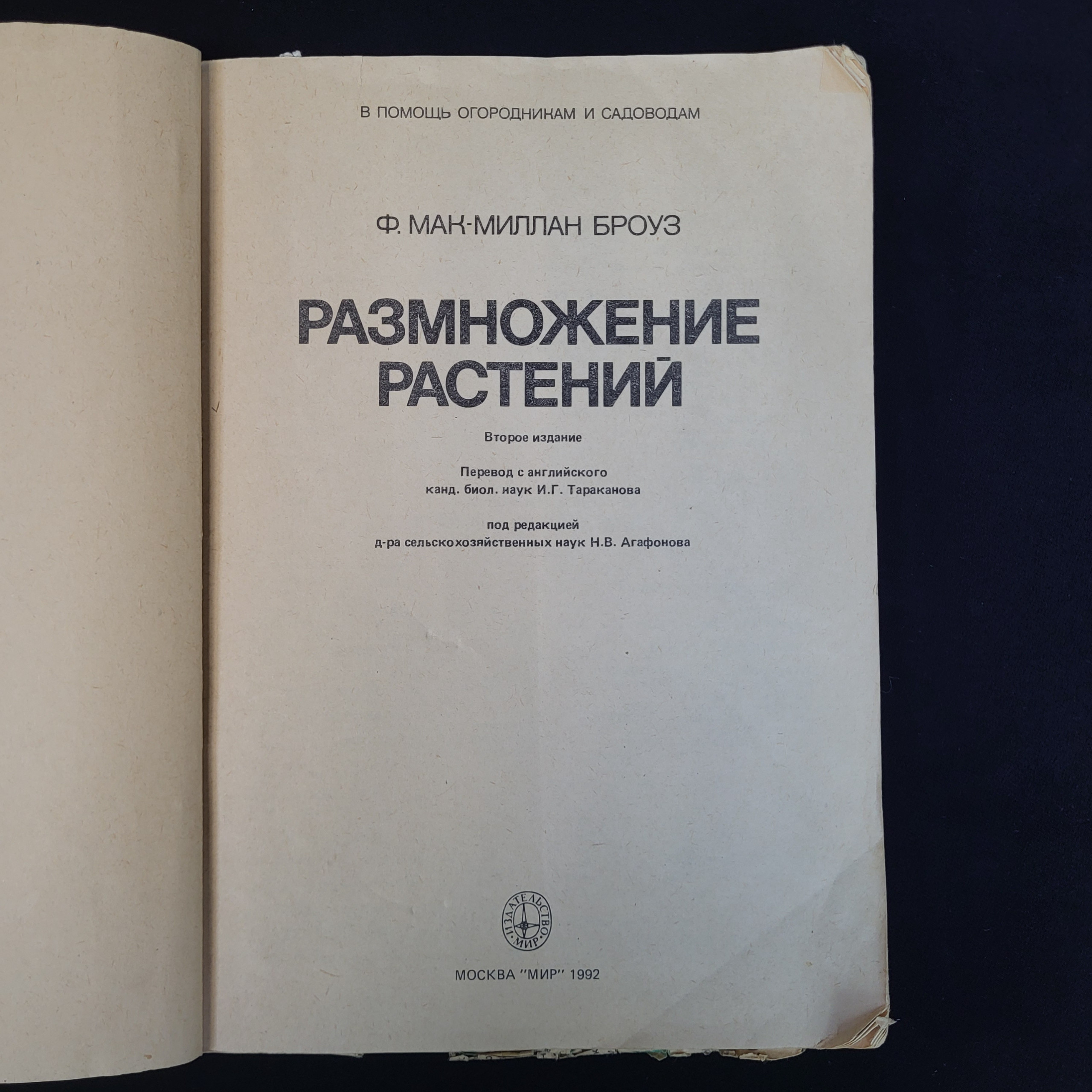 Картинка 4