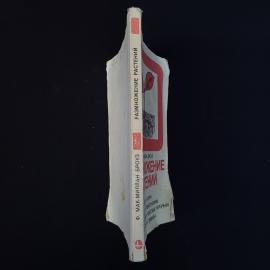 Картинка 2