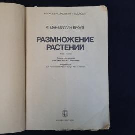 Картинка 4