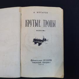 Картинка 3