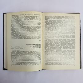 Картинка 6