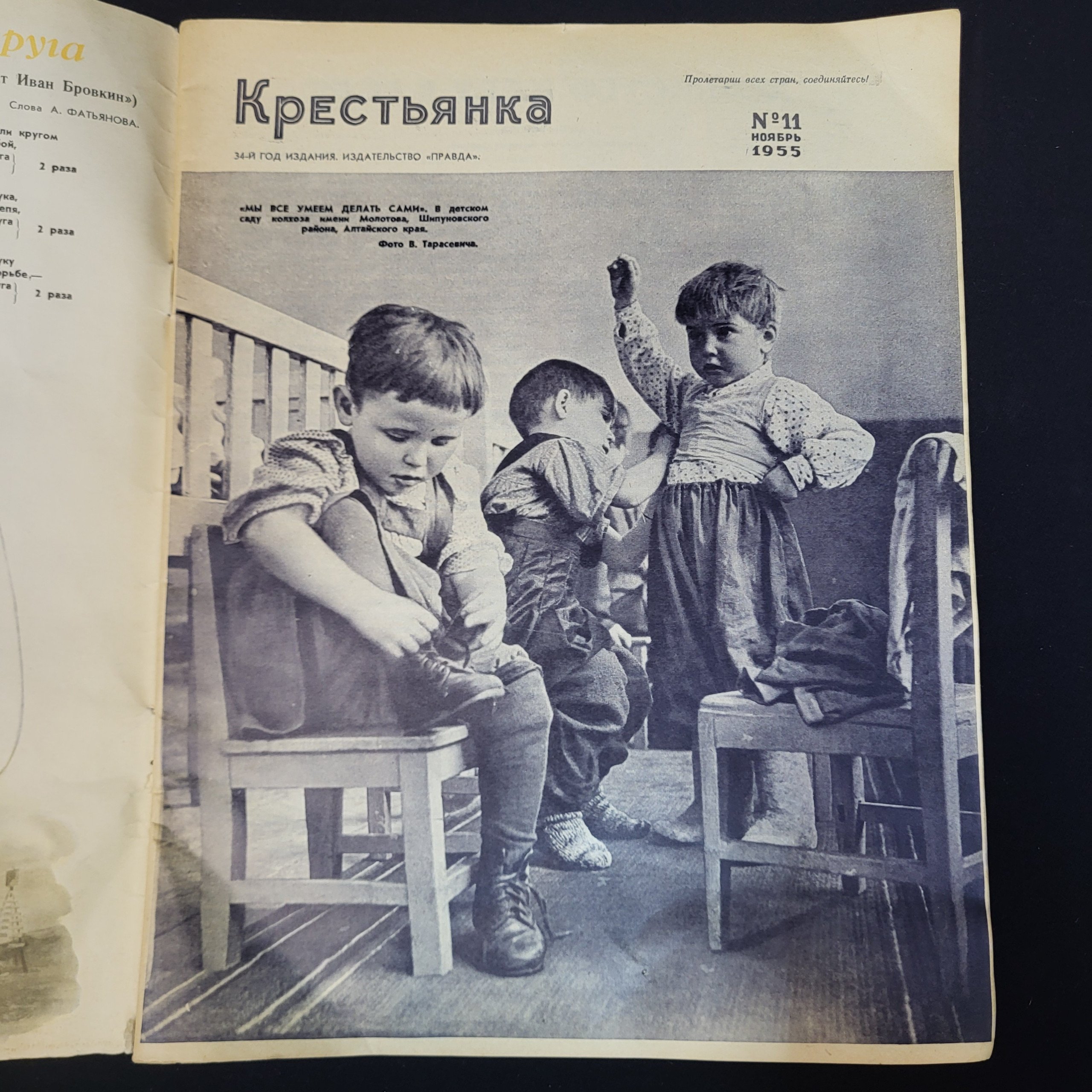 Картинка 3
