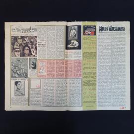 Картинка 3