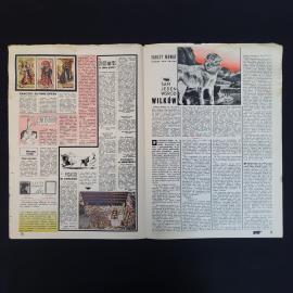 Картинка 3
