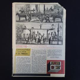 Gimnastyka. Антикварная книга, иллюстрированное издание на польском языке