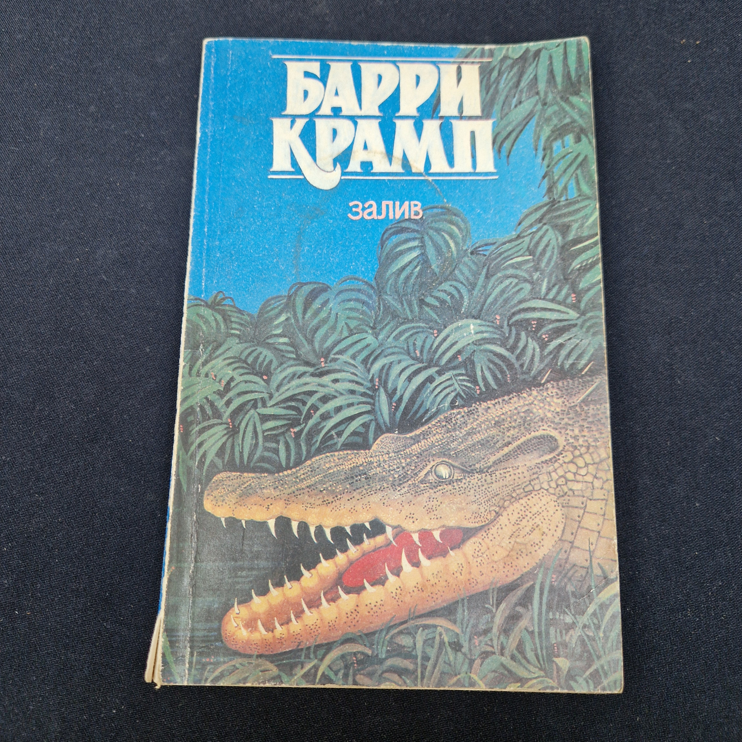 Картинка 1