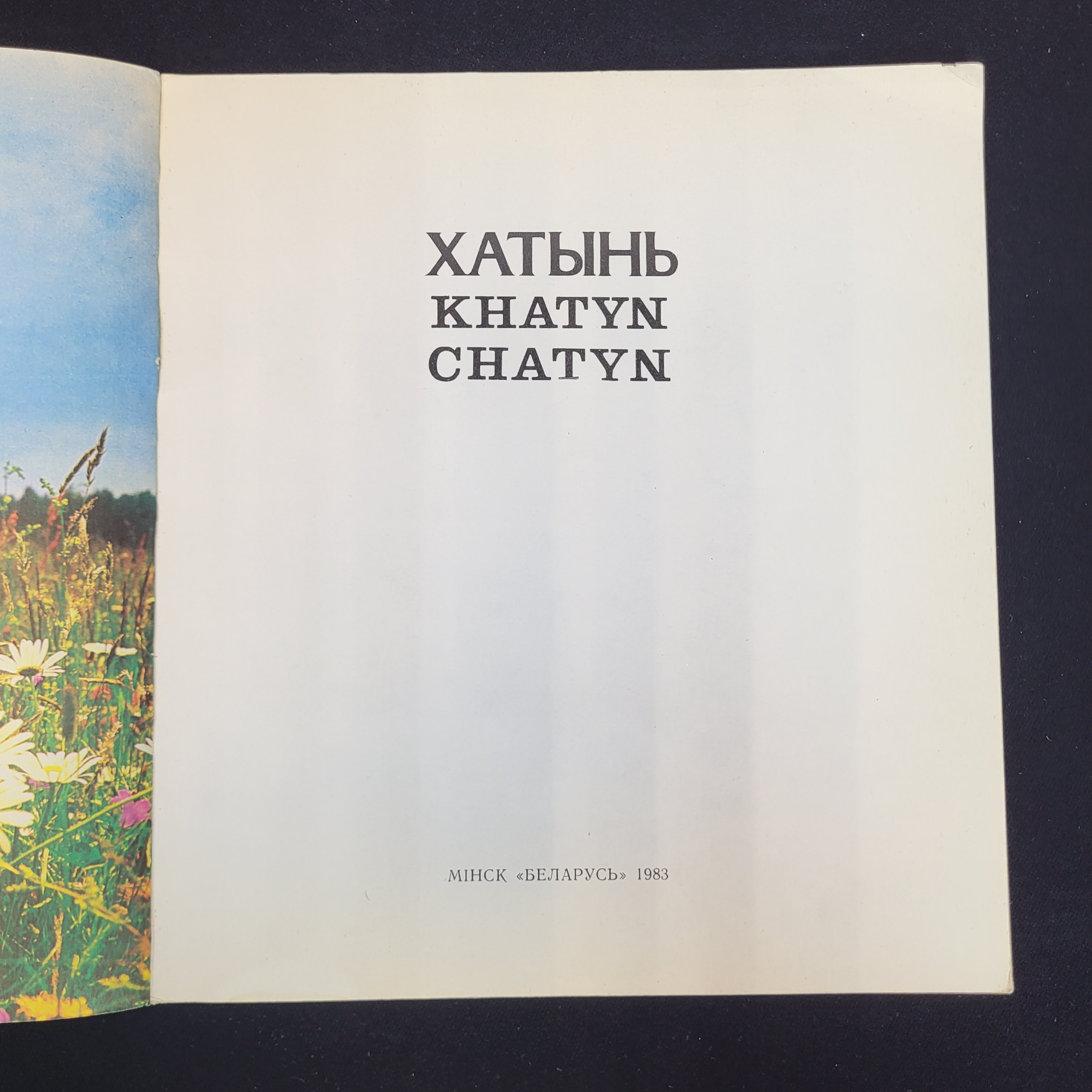 Картинка 4