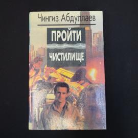 Пройти чистилище. Книга, роман