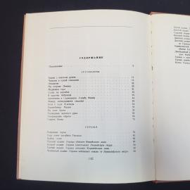 Картинка 5