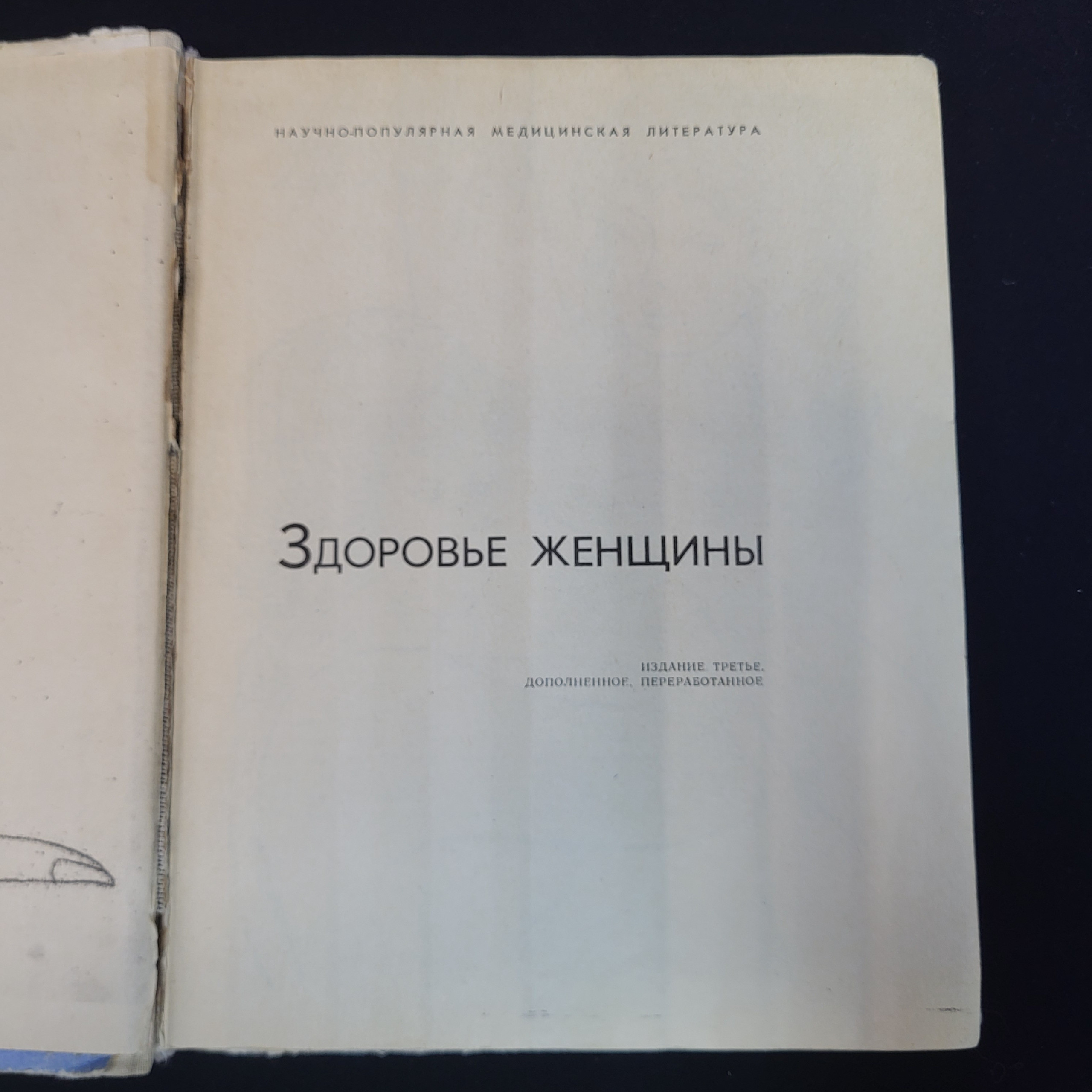 Картинка 4