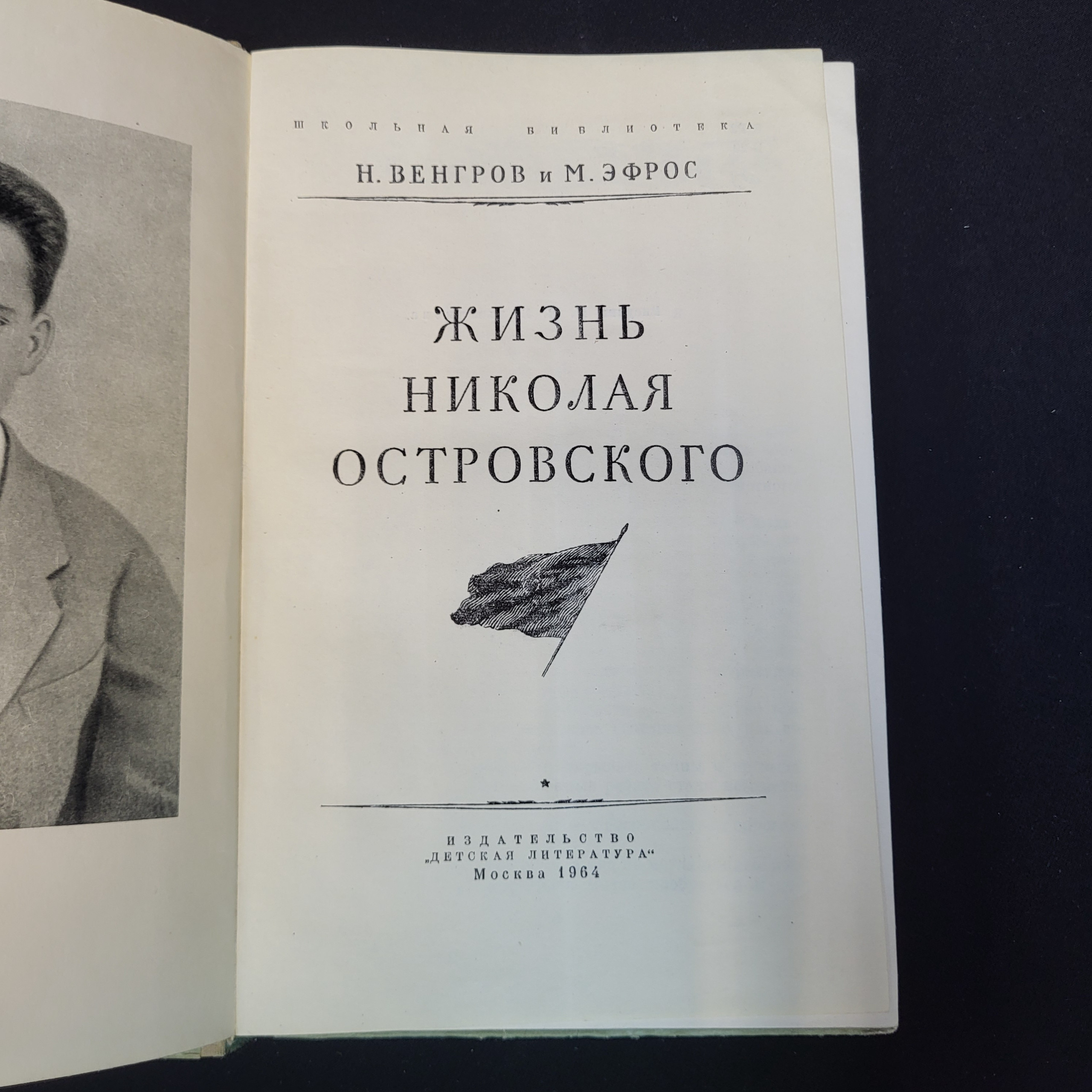 Картинка 4