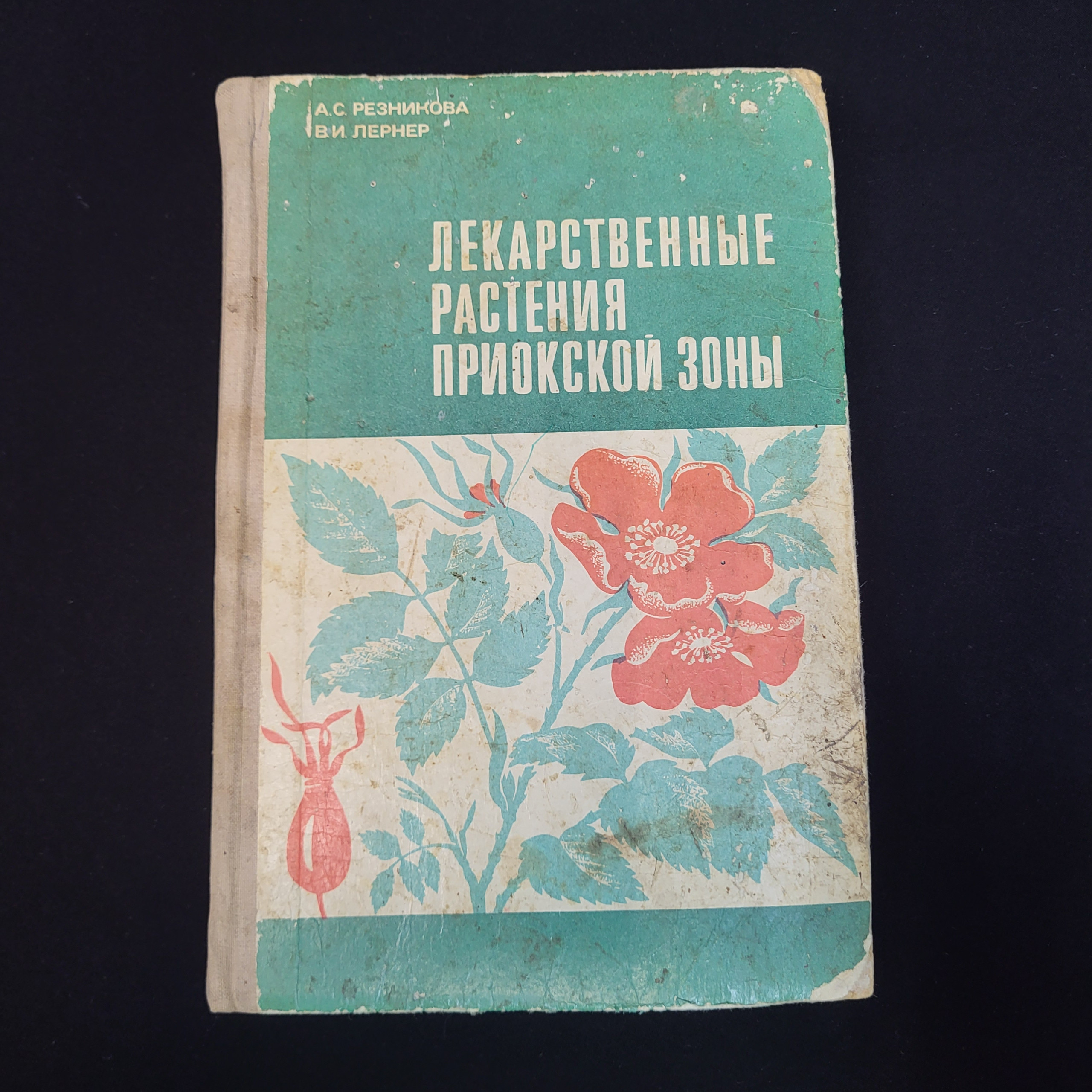 Картинка 1