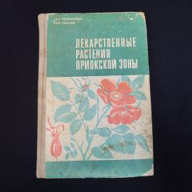 Картинка 1