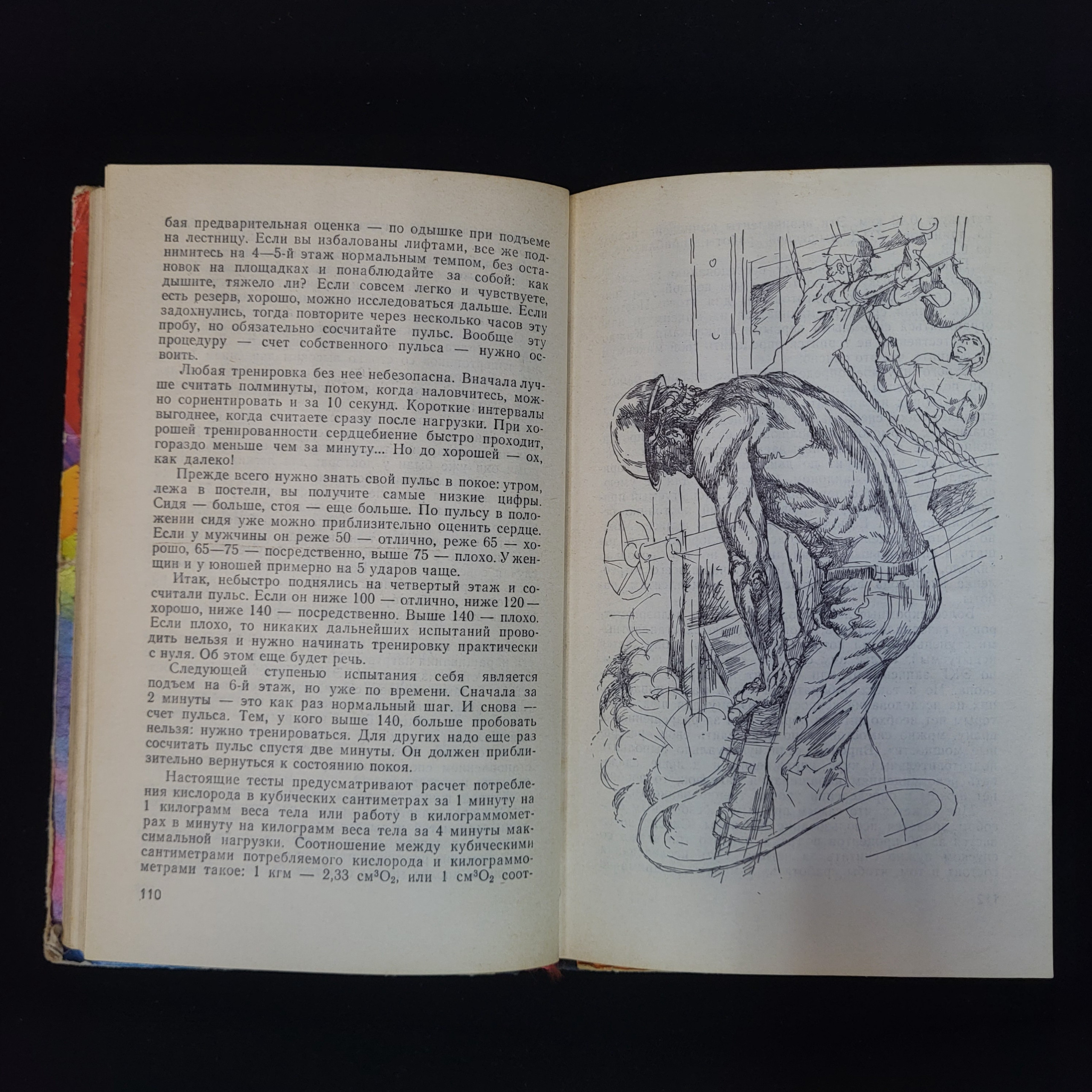 Картинка 6