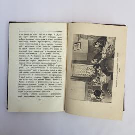 Картинка 5