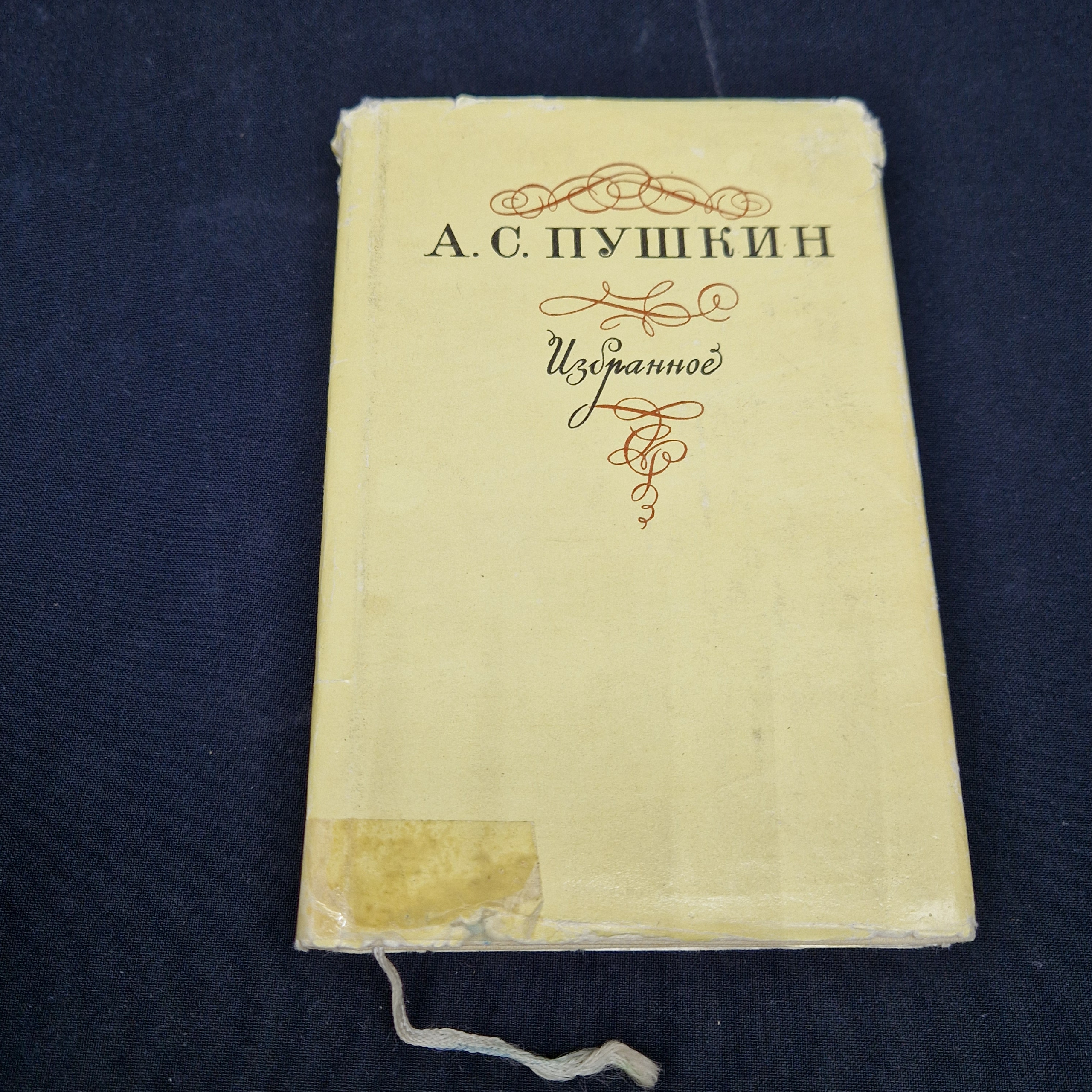 Картинка 1