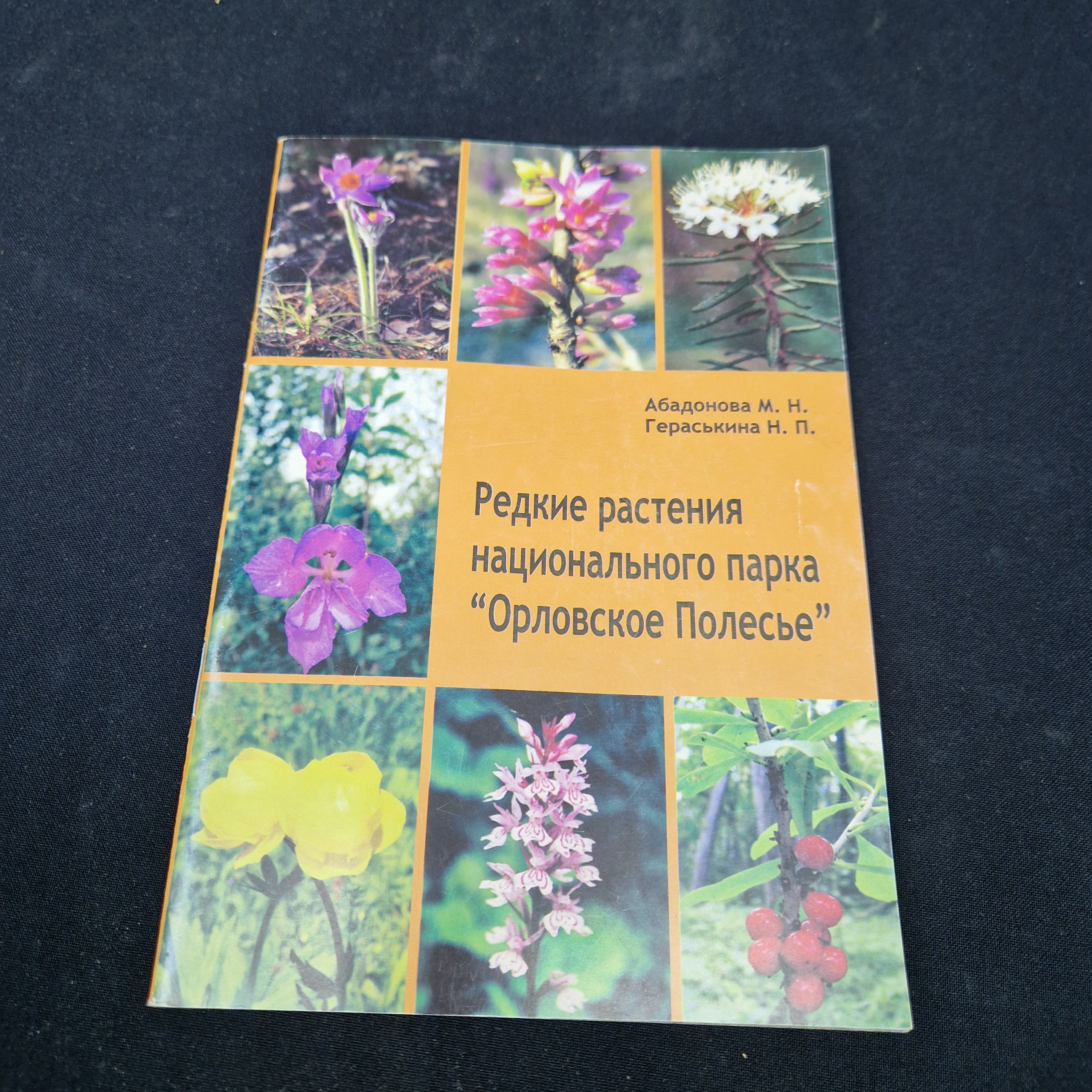 Картинка 1