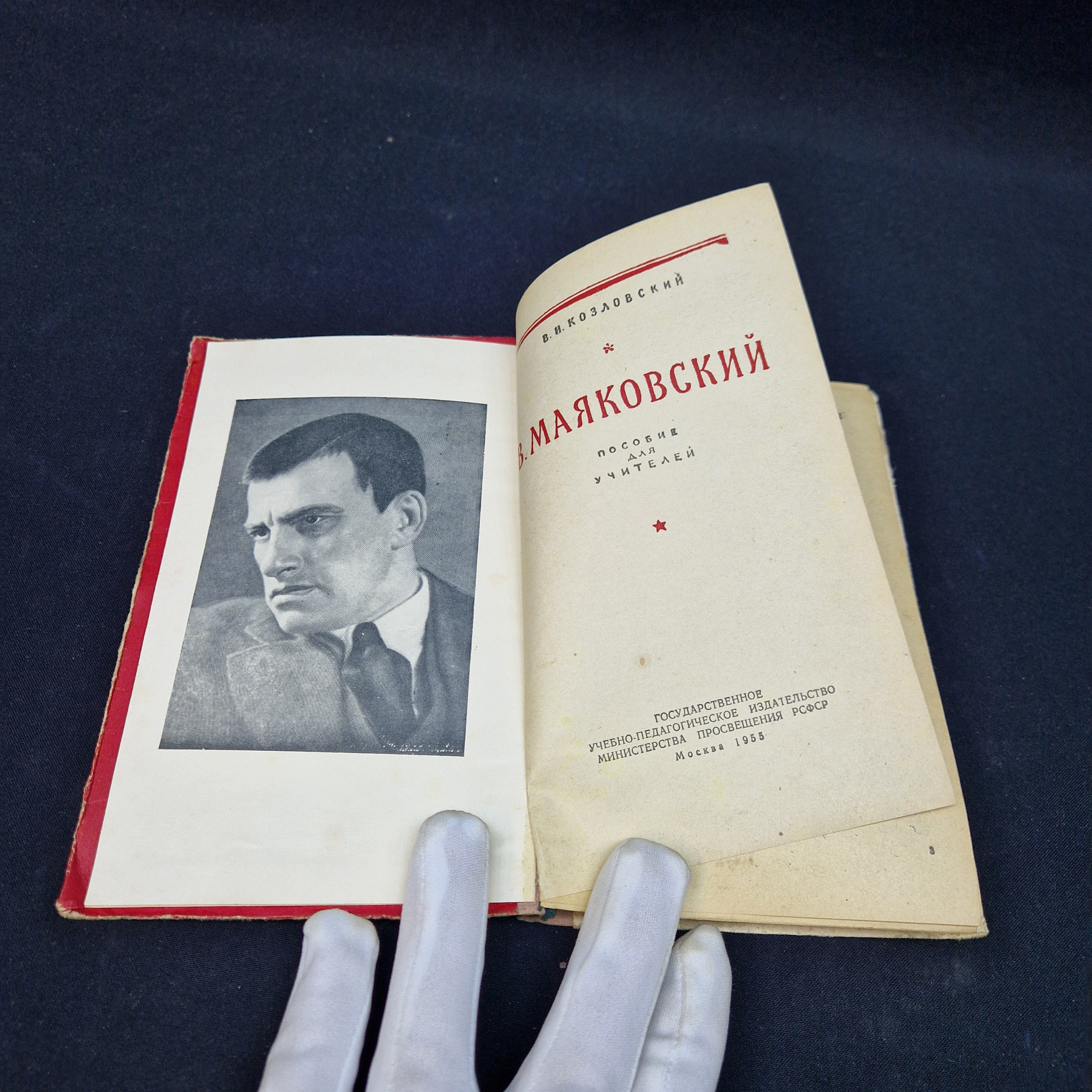 Картинка 3