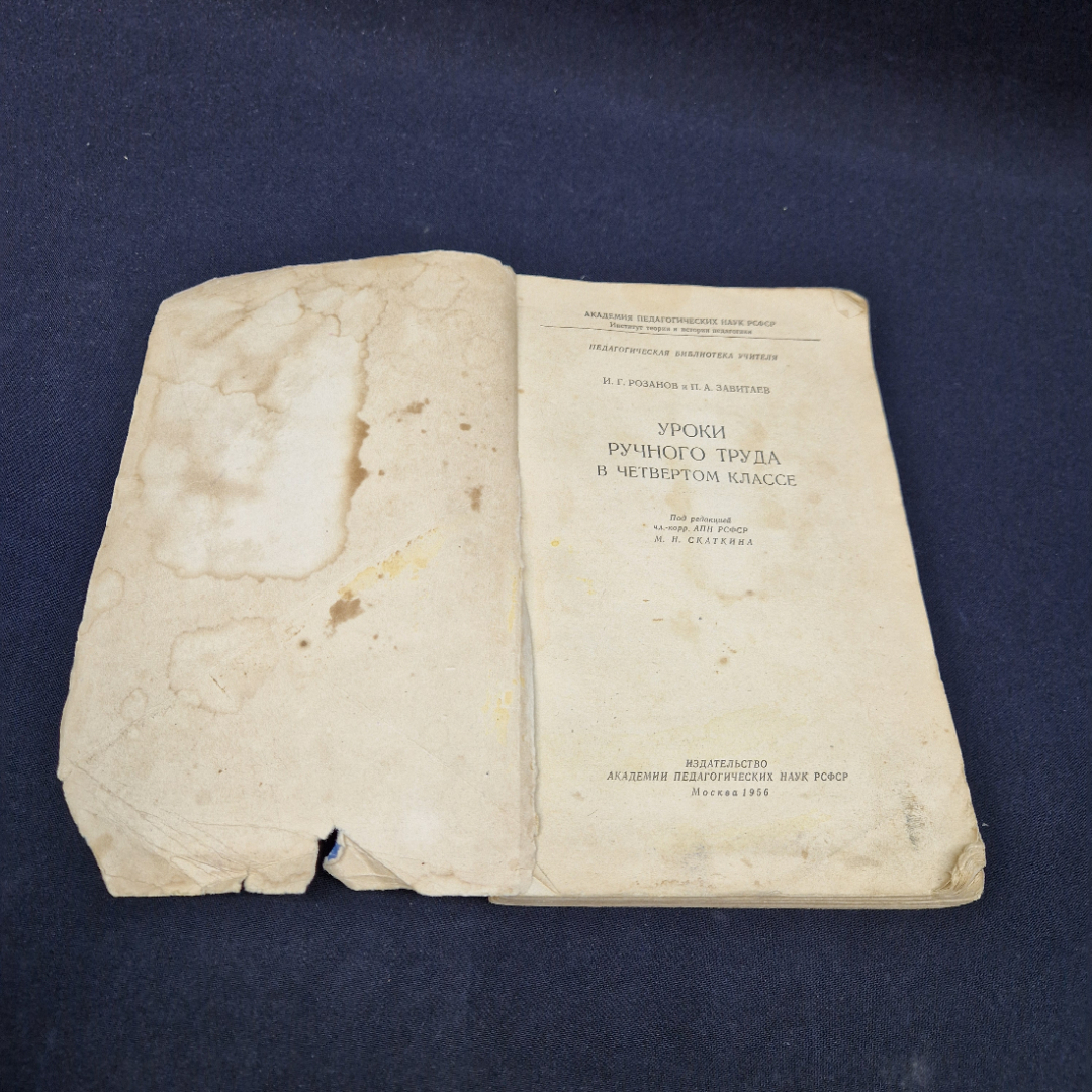 Картинка 9