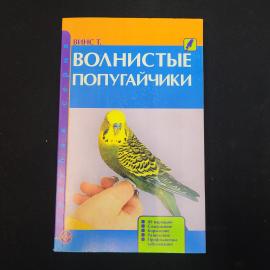 Картинка 1
