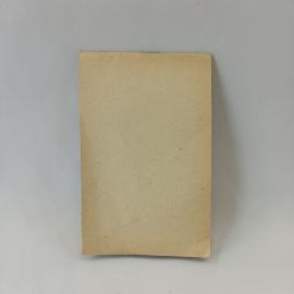 Картинка 4