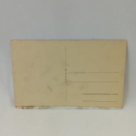 Картинка 2