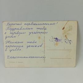 Картинка 2