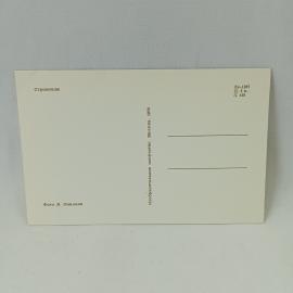 Картинка 2