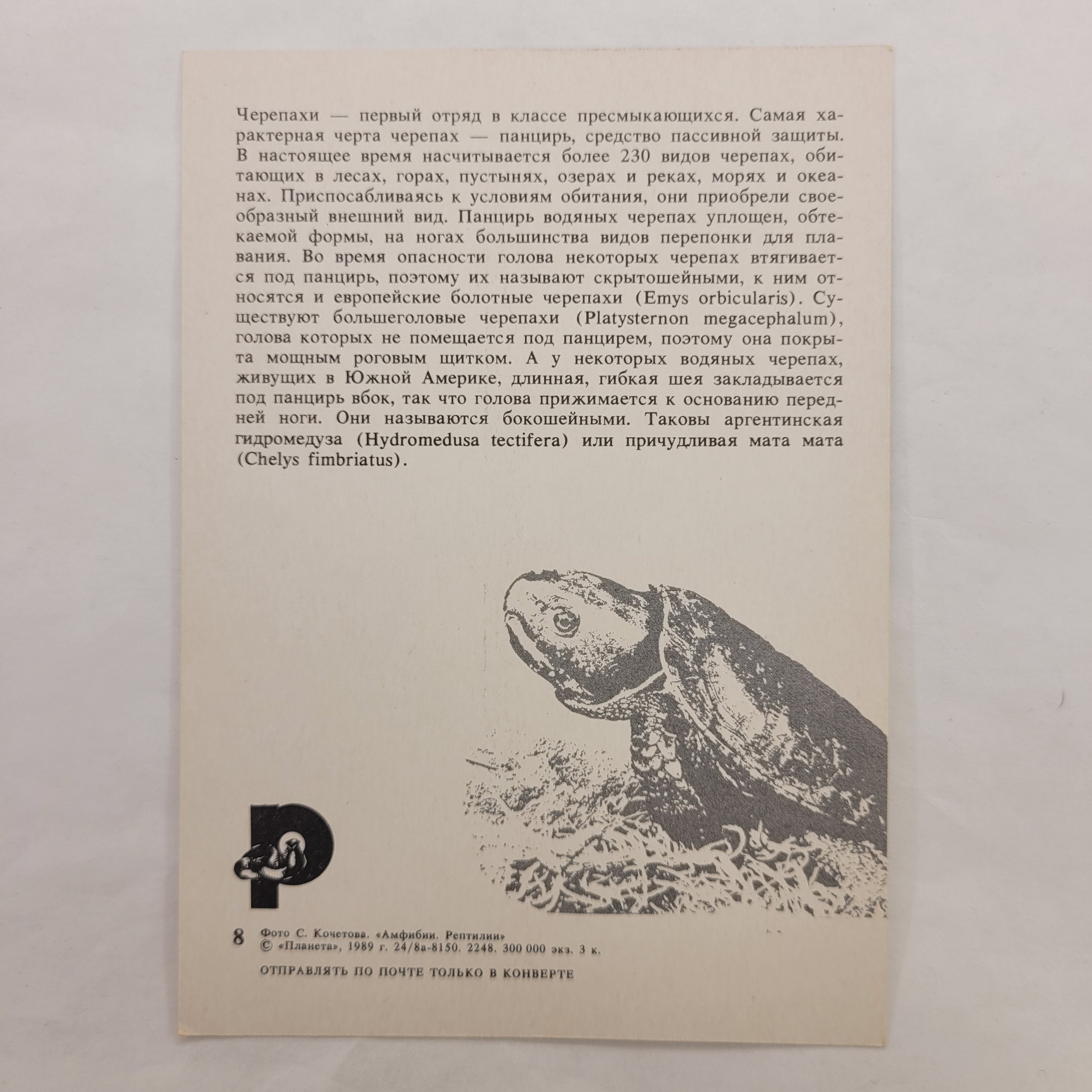 Картинка 2