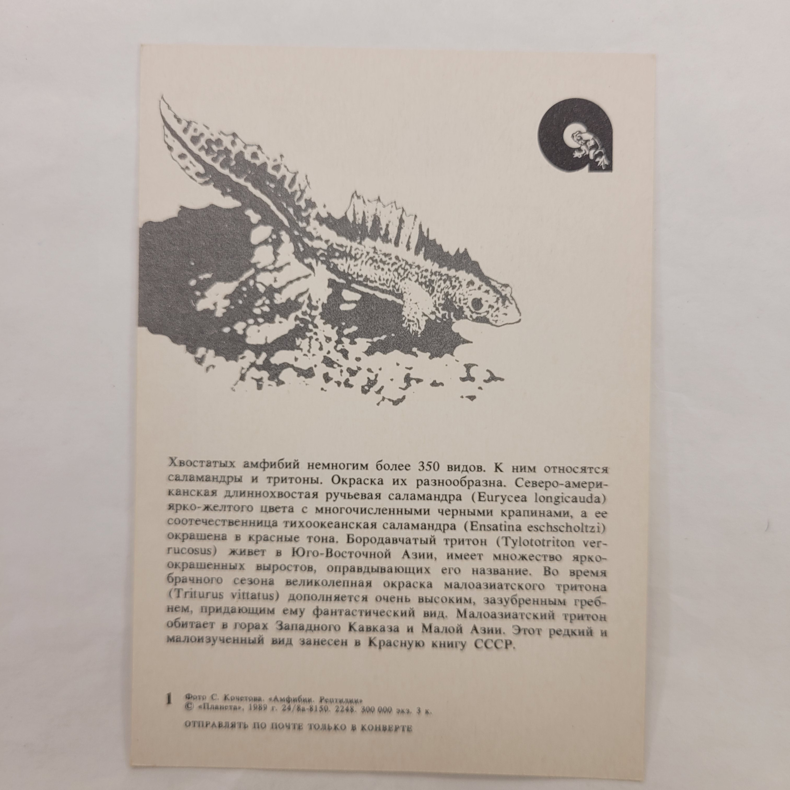 Картинка 2