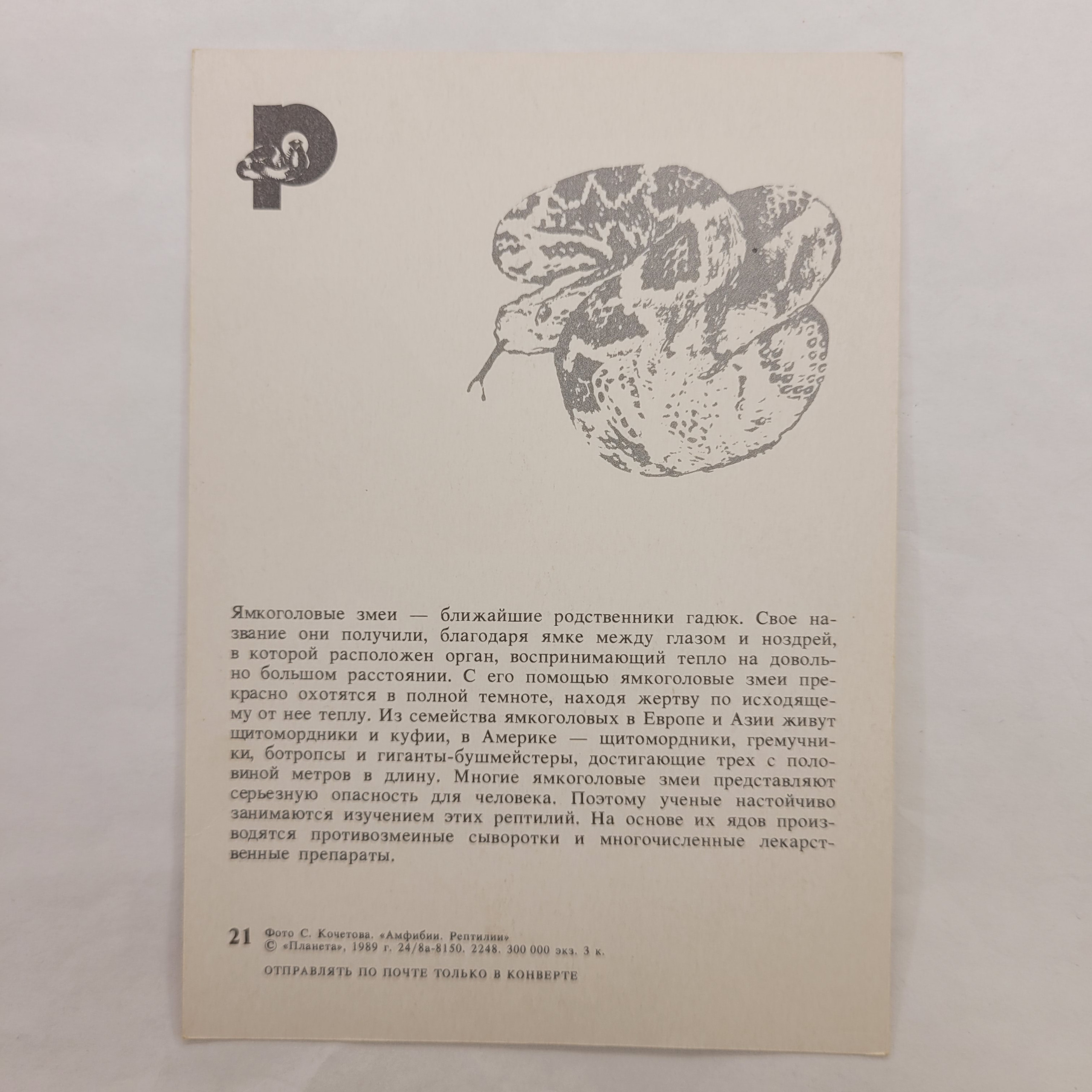 Картинка 2
