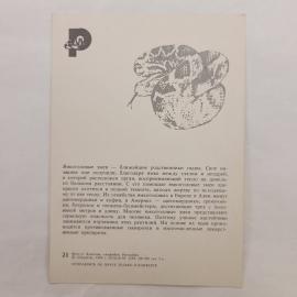 Картинка 2