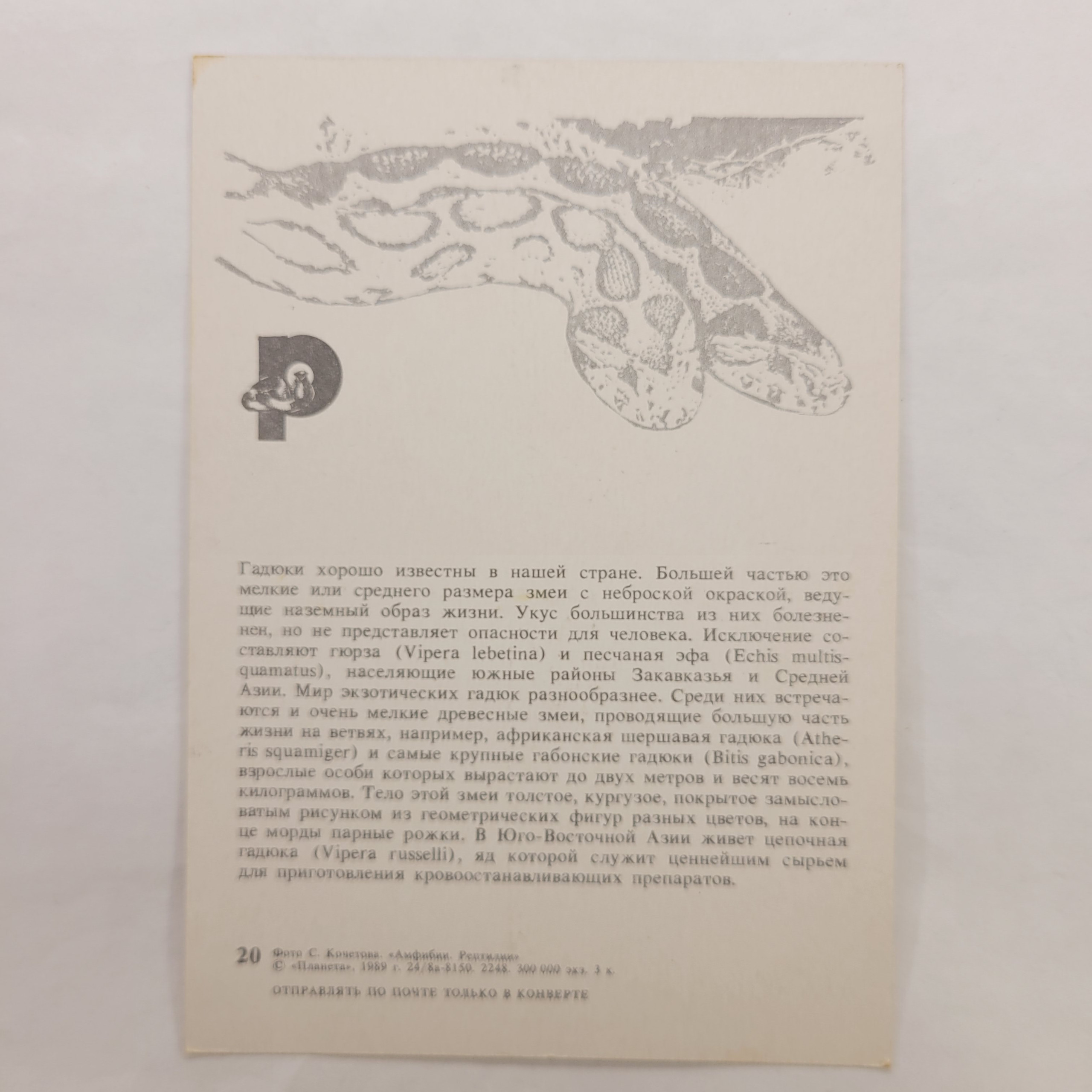 Картинка 2