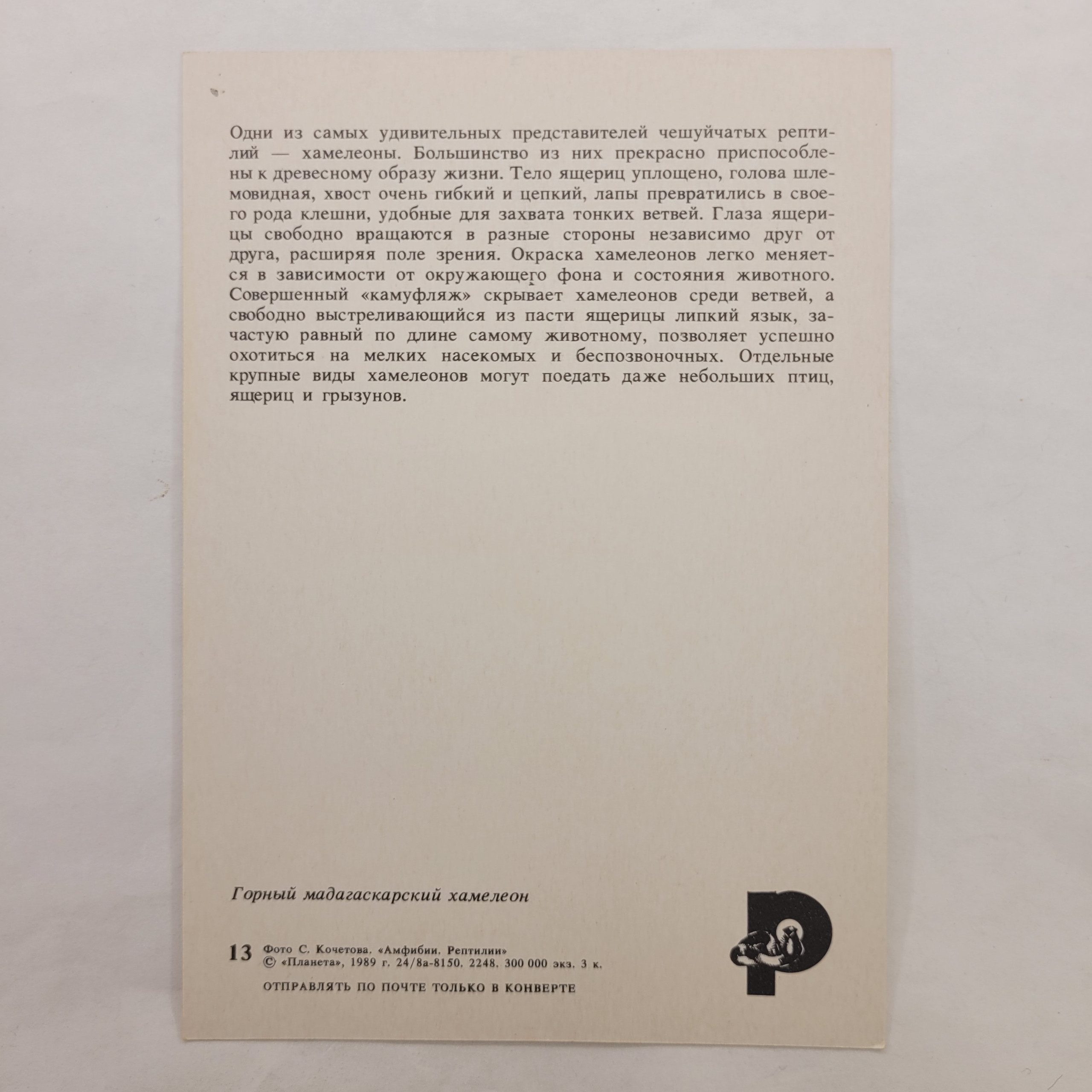 Картинка 2